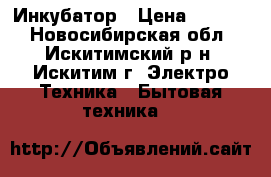 Инкубатор › Цена ­ 3 000 - Новосибирская обл., Искитимский р-н, Искитим г. Электро-Техника » Бытовая техника   